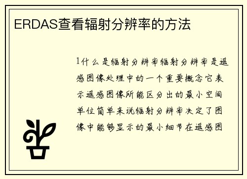ERDAS查看辐射分辨率的方法
